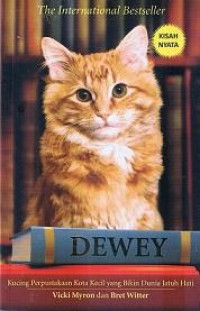 Dewey: Kucing Perpustakaan Kota Kecil yang Bikin Dunia Jatuh Hati