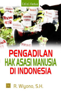 Pengadilan Hak Asasi Manusia