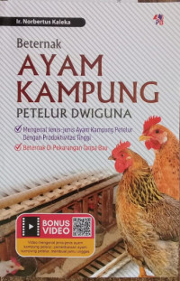 Beternak ayam kampung petelur dwiguna