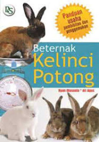 Beternak kelinci potong