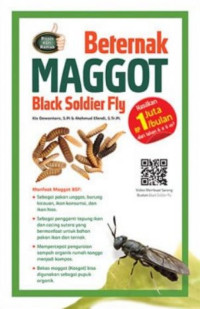 Beternak manggot black soldier fly