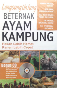 Langsung untung beternak ayam kampung