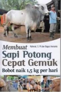 Membuat sapi potong cepat gemuk: bobot naik 1,5 kg per hari.