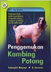 Penggemukan kambing potong.