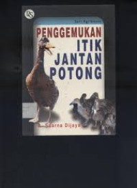 Penggemukan itik jantan potong.