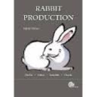 Rabbit Production