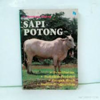 Sapi potong.