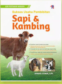 Sukses usaha pembibitan sapi & kambing