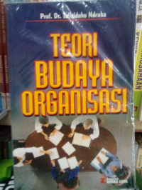 Teori Budaya Organisasi