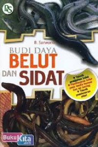 Budidaya belut dan sidat