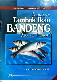 Budidaya tambak ikan bandeng secara intensif