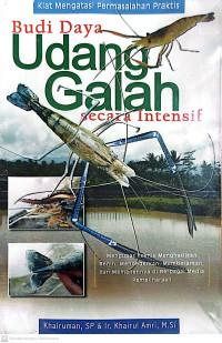 Budidaya udang galah secara intensif