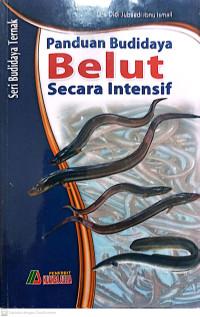 Panduan budidaya belut secara intensif