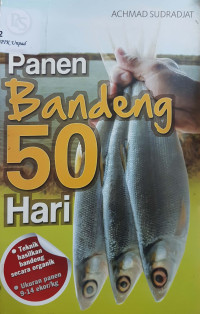 Panen bandeng 50 hari