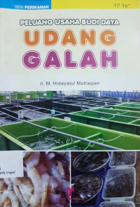 Peluang usaha budidaya udang galah