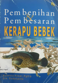 Pembenihan & pembesaran kerapu bebek