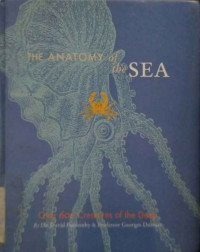 The anatomy of the sea