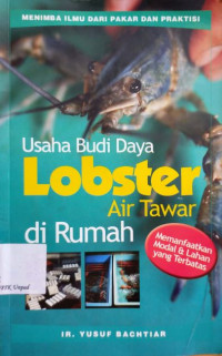 Usaha budidaya lobster air tawar di rumah