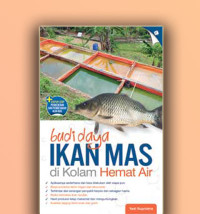 Budidaya ikan mas di kolam hemat air