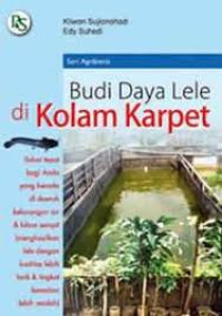 Budidaya lele di kolam karpet