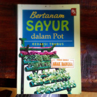 Bertanam sayur dalam pot