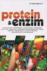 Protein & enzim