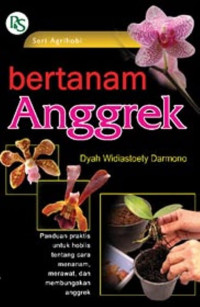 Bertanam Anggrek