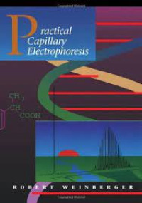 Practical Capillary Electrophoresis