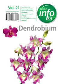 Anggrek dendrodium