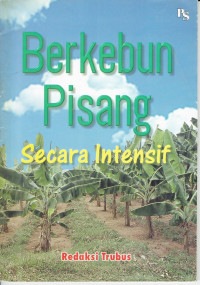 Berkebun pisang secara intensif