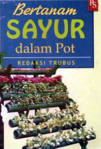 Bertanam sayur dalam pot