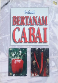 Bertanam Cabai