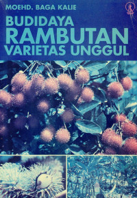 Budidaya rambutan varietas unggul