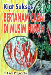 Kiat sukses bertanam cabai di musim hujan