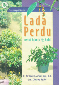 Lada perdu untuk bisnis dan hobi