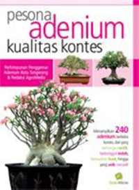 Pesona adenium kualitas kontes