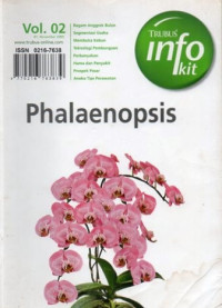 Phalaenopsis