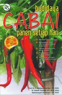 Budidaya cabai :panen setiap hari