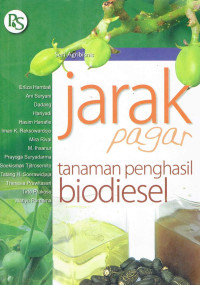 Jarak Pagar Tanaman Penghasil Biodiesel